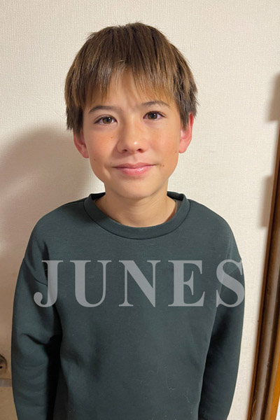 ルチル　ウッド