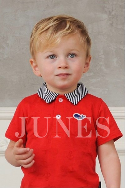 アレクサンダー　エス