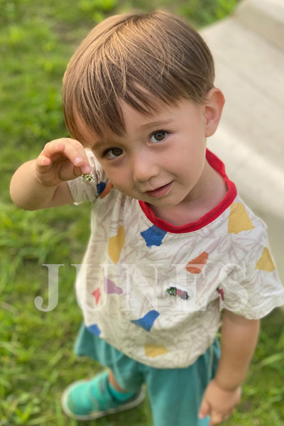 ショウキ　グリーン