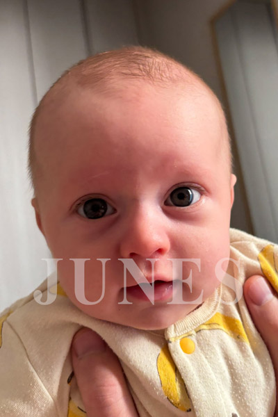 ヴィクトル　ピー